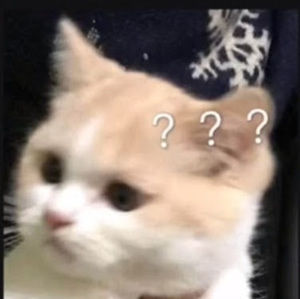 Meet your Posher, Shea